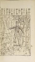 繪入山賊物語