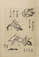 西洋手づまの種