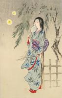 Geisha in the Four Seasons