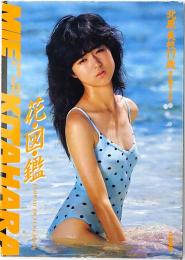 花図鑑 : 北原美枝写真集