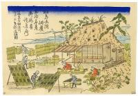 【引札】御海苔調進所（伊勢桑名紺屋町）