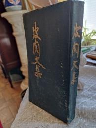 皮肉文集