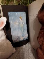 合歓の揺籃