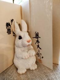 楽しき熱帯