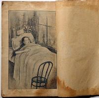 悲劇小説　仇しあだ波　（少女小説）