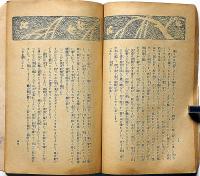 悲劇小説　仇しあだ波　（少女小説）