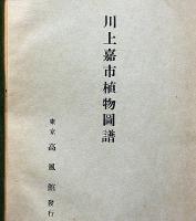 川上嘉市植物圖譜　彩色画