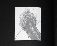 絵浪血華　　限定私家版　米倉 斉加年・献呈署名入