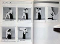 大東流合気武術　1