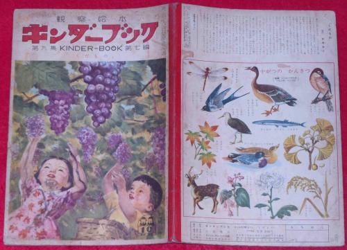 ロビンソンの末裔(開高健) / 斜陽館 / 古本、中古本、古書籍の