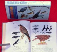 台湾鳥類彩色図鑑