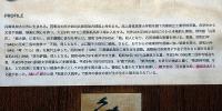 永田耕衣直筆絵入書額　「鯰」　裏に署名箋あり