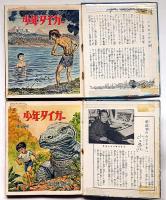 少年タイガー　完結編共　全11巻　サンケイ児童文庫