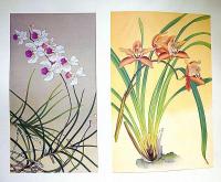 蘭花譜　全2巻　限定五百部