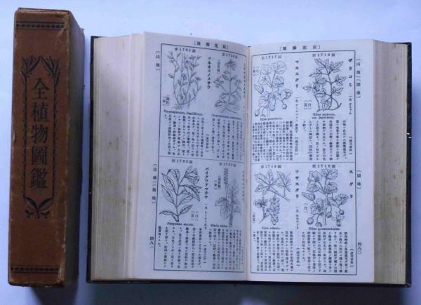 全植物図鑑 日本植物研究会 斜陽館 古本 中古本 古書籍の通販は 日本の古本屋 日本の古本屋