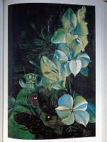 画集 靉光　二重函　「画風がシュールレアリズム風や宋元画風など特異な画風」