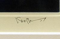 斎藤カオル 銅版画「新緑の五箇山」　カラ―メゾチント　額付き　直筆サイン入り　限定123部　サイン入