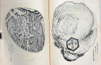 松風帖 富士乃屋草紙・第32号　名木年輪特集号　版画家・板愉良（いたゆうりょう）個人誌