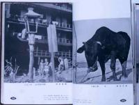 日本特選写真年鑑 1938