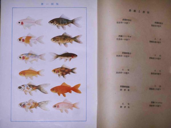 科学と趣味から見た 金魚の研究(松井佳一) / 古本、中古本、古書籍の