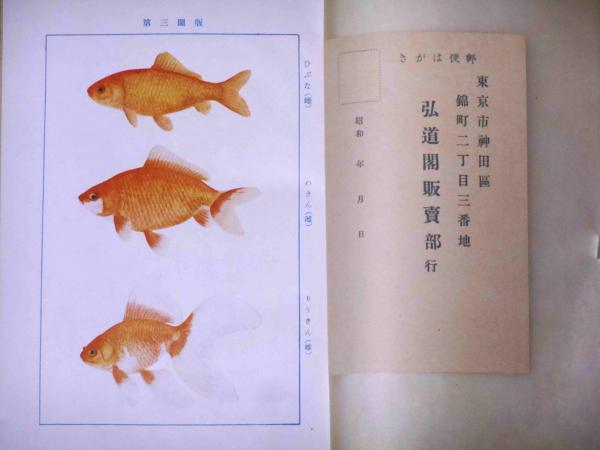復刻版　科学と趣味から見た金魚の研究 科学と趣味から見た 金魚の研究(松井佳一) / 古本、中古本、古書籍の