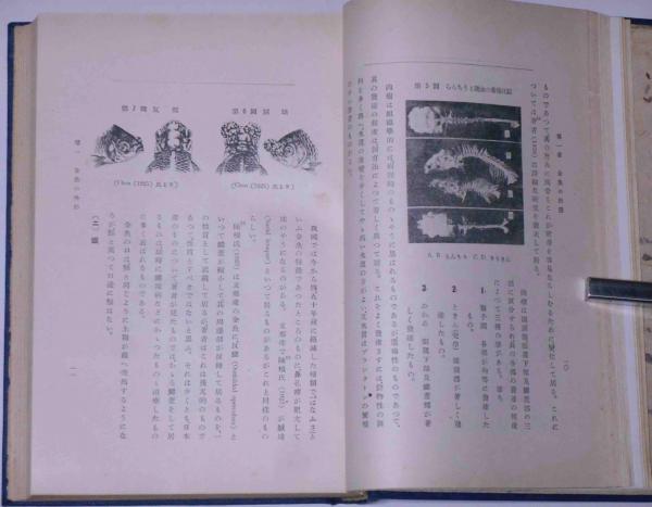 科学と趣味から見た 金魚の研究(松井佳一) / 古本、中古本、古書籍の