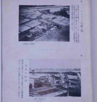 一年間のシャボン生活　ベルベット石鹸