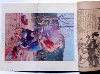 少年　大正3年3月号　口絵・渡部審也画・大正博覧会鳥瞰図