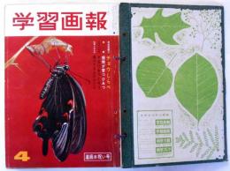 学習画報　第4巻2号～10号、5巻1号　10冊　世界中を敵に戦った三年半特集ほか