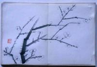 玉泉肉筆水彩画　貼り込み帖（彩色7図＋単色8図）