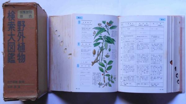 採集地別 原色野外植物検索大図鑑(石戸忠) / 古本、中古本、古書籍の