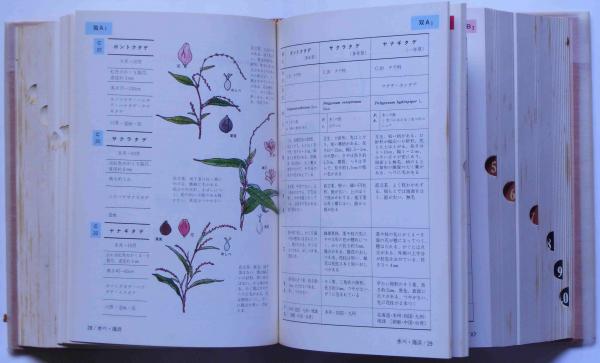 採集地別 原色野外植物検索大図鑑(石戸忠) / 古本、中古本、古書籍の