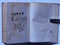 女の日記