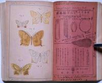 昆虫学雑誌　第二巻一号～7号　7冊　紐綴合本　（4号昆虫採集号）