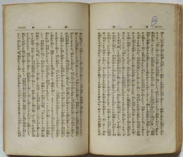 小説口絵木版画、小林永興画、明治文庫四編縁外縁(幸田露伴著
