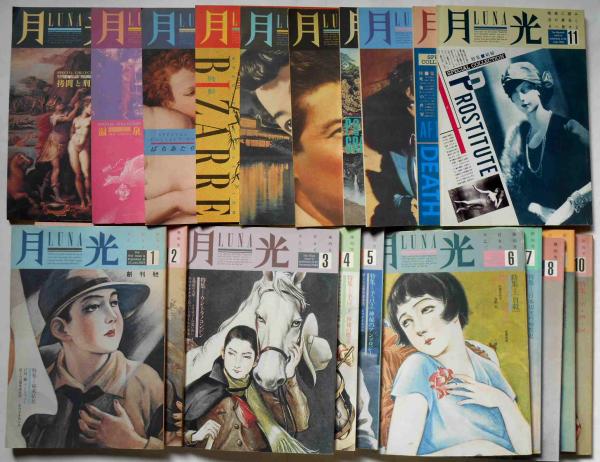 月光 №1～20号揃 20冊(南原企画編) / 古本、中古本、古書籍の