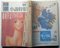 別冊潮　創刊号　小説特集号　昭和57年8月