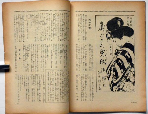 評伝 田中一村 | 大矢 鞆音 |本 | 通販 | Amazon