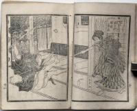 通俗情史　秋の園操の裏表　（初篇・中編・下編）　3冊