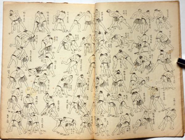 風俗画報 第245号（明治35年2月） 上野動物園新渡来の駝鳥獅子の図