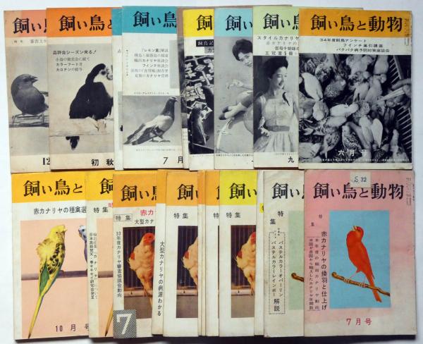 飼い鳥と動物 7巻6号 10巻12号 不揃23冊 赤いカナリア 熱帯魚 カナリア研究会他 柴田健治 内田清之助ほか 古本 中古本 古書籍の通販は 日本の古本屋 日本の古本屋 飼い鳥と動物 7巻6号 10巻12号 不揃23冊 赤いカナリア 熱帯魚 カナリア研究会他 柴田健治 内田清之助ほか 古本 中古本 古書籍の通販は 日本の古本屋 日本の古本屋