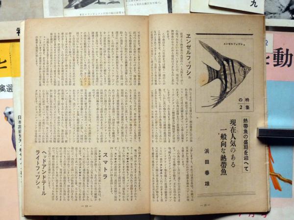 飼い鳥と動物 7巻6号 10巻12号 不揃23冊 赤いカナリア 熱帯魚 カナリア研究会他 柴田健治 内田清之助ほか 古本 中古本 古書籍の通販は 日本の古本屋 日本の古本屋 飼い鳥と動物 7巻6号 10巻12号 不揃23冊 赤いカナリア 熱帯魚 カナリア研究会他 柴田健治 内田清之助ほか 古本 中古本 古書籍の通販は 日本の古本屋 日本の古本屋