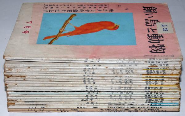 飼い鳥と動物 7巻6号 10巻12号 不揃23冊 赤いカナリア 熱帯魚 カナリア研究会他 柴田健治 内田清之助ほか 古本 中古本 古書籍の通販は 日本の古本屋 日本の古本屋 飼い鳥と動物 7巻6号 10巻12号 不揃23冊 赤いカナリア 熱帯魚 カナリア研究会他 柴田健治 内田清之助ほか 古本 中古本 古書籍の通販は 日本の古本屋 日本の古本屋