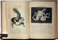 体育上の病理と診断