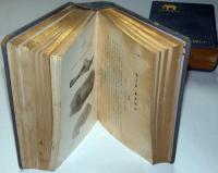 象 （上・下） 2冊