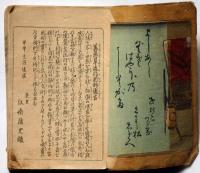 善悪草流行新形　口絵彩色木版画・歌川国松画