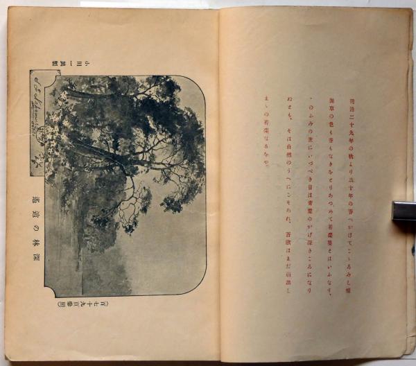 若菜集 / 古本、中古本、古書籍の通販は「日本の古本屋」 / 日本