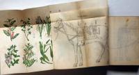 馬事提要　（後部図版27枚入り・馬の図・毒草の図ほか）陸軍資料