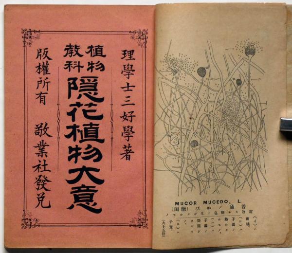 植物教科 隠花植物大意 三好学 斜陽館 古本 中古本 古書籍の通販は 日本の古本屋 日本の古本屋