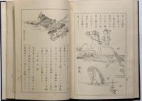 野島流游泳術　図版多数入り